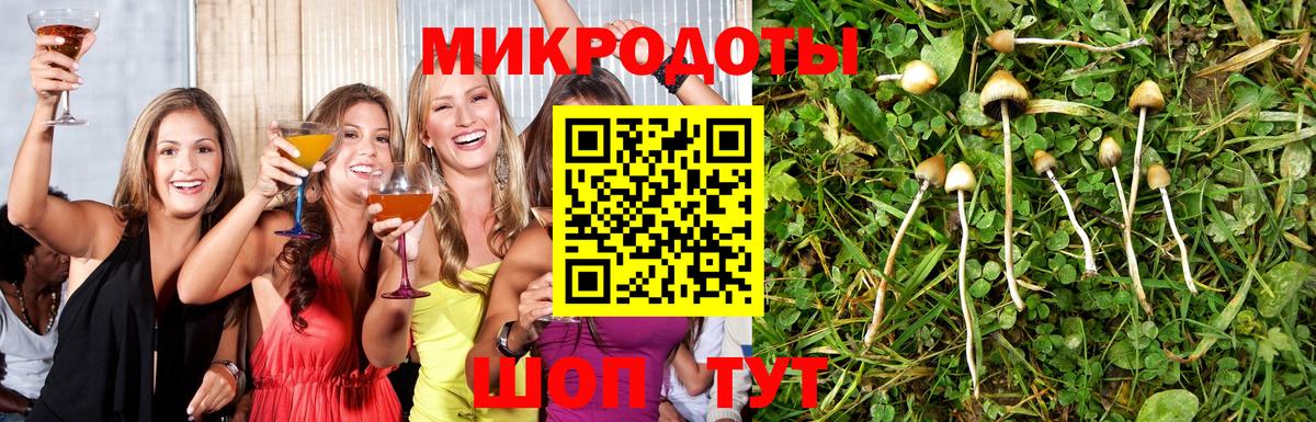 Галлюциногенные грибы прущие грибы Омск